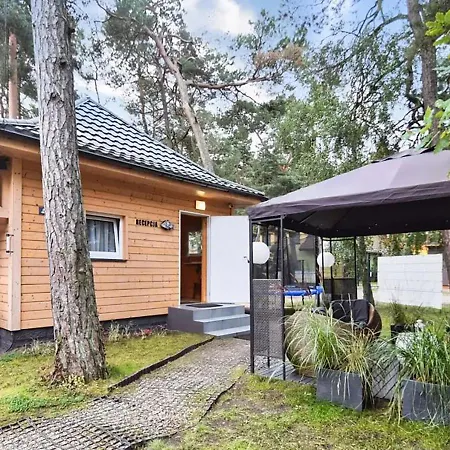 Lodge Kolorowe *