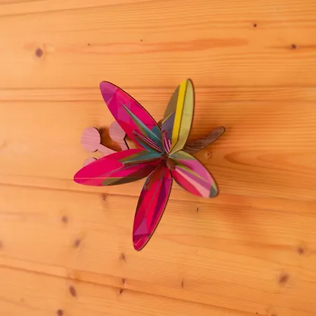 Kolorowe * Pobierowo